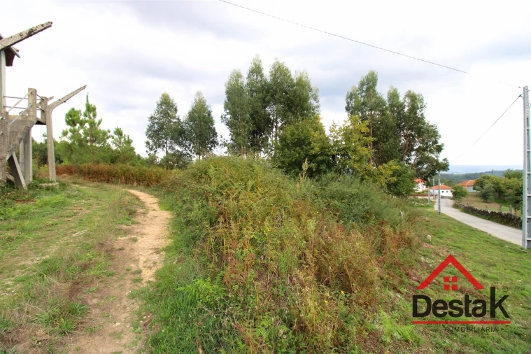 Terreno Agricola ou Rústico para Venda em Carvalhais e Candal Foto 14