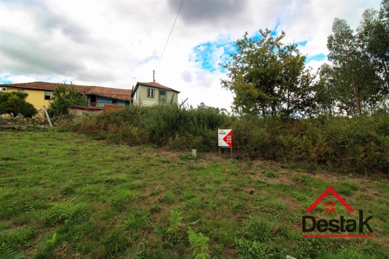 Terreno Agricola ou Rústico para Venda em Carvalhais e Candal Foto 3