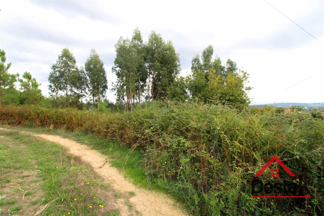Terreno Agricola ou Rústico para Venda em Carvalhais e Candal Foto 15