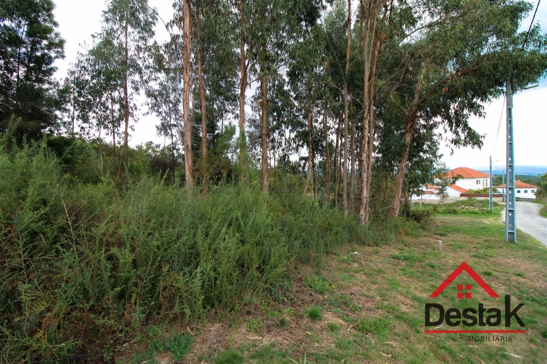 Terreno Agricola ou Rústico para Venda em Carvalhais e Candal Foto 7