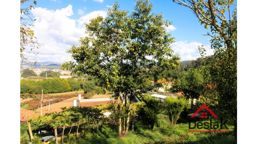 Quinta T5 para Venda em Roriz Foto 30