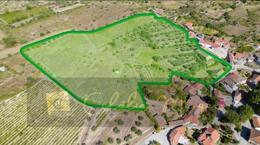 Quinta T3 para Venda em Vale Flor, Carvalhal e Pai Penela Foto 3