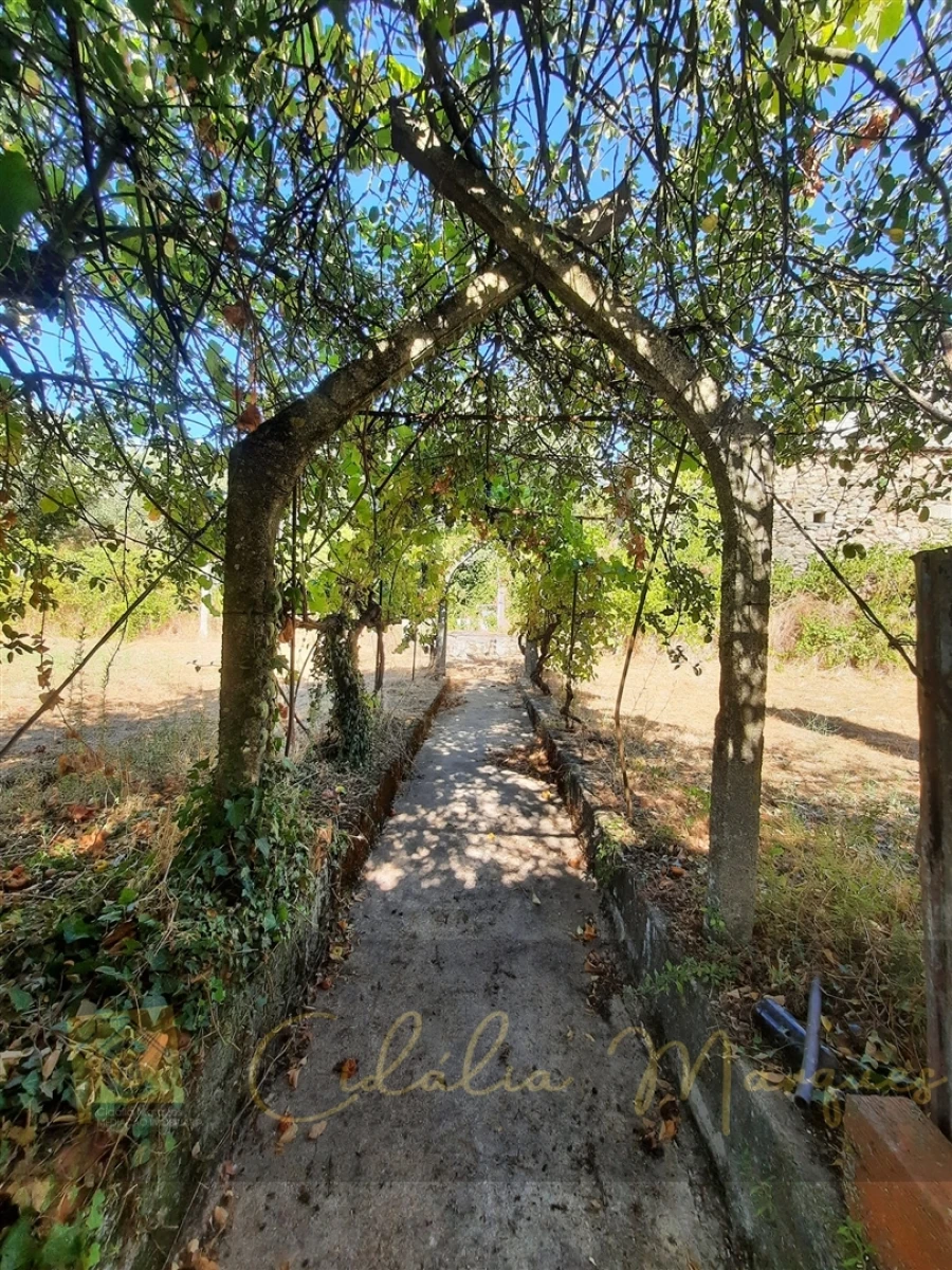 Quinta T3 para Venda em Vale Flor, Carvalhal e Pai Penela Foto 12
