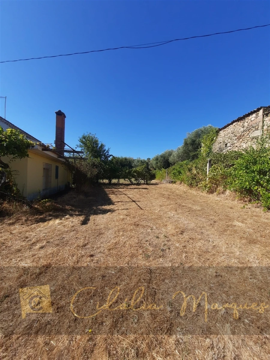 Quinta T3 para Venda em Vale Flor, Carvalhal e Pai Penela Foto 19