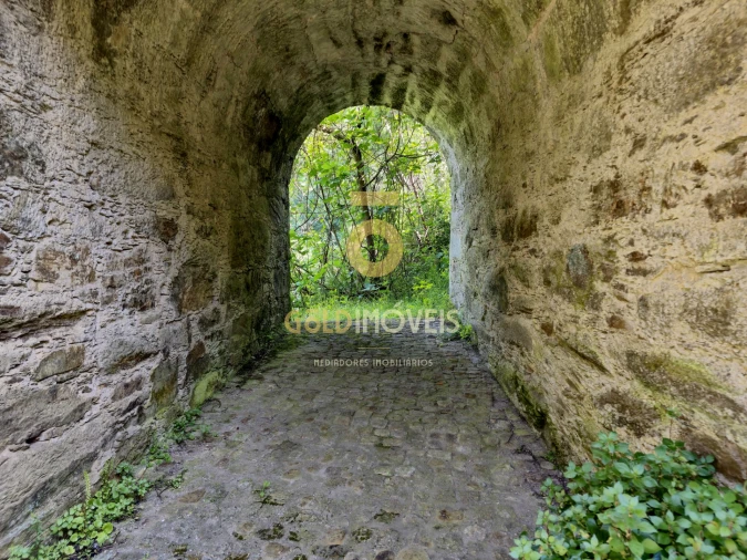 Quinta T0 para Venda em Raiva, Pedorido e Paraíso Foto 17