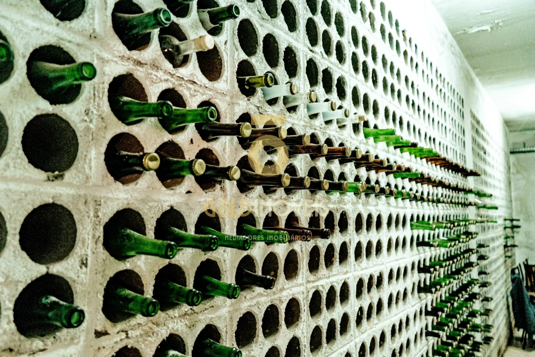 Quinta T5 para Venda em Nogueira do Cravo e Pindelo Foto 55