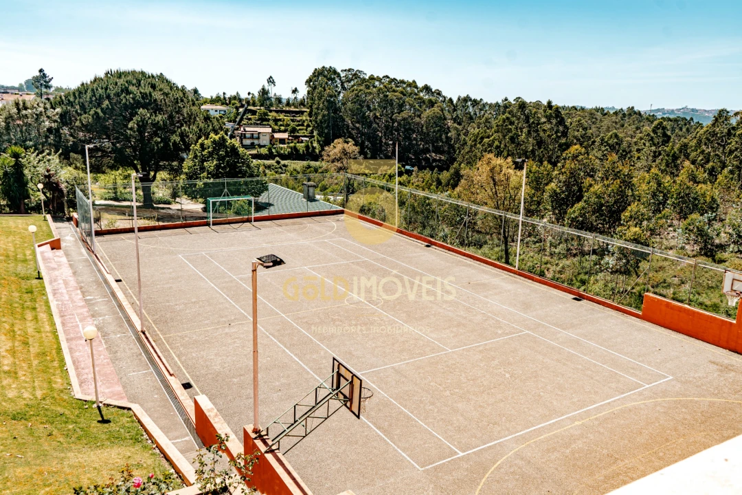 Quinta T5 para Venda em Nogueira do Cravo e Pindelo Foto 4