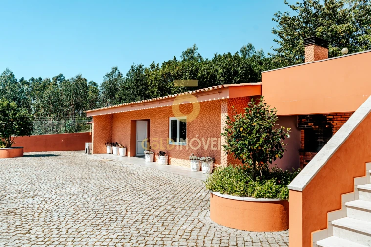 Quinta T5 para Venda em Nogueira do Cravo e Pindelo Foto 10