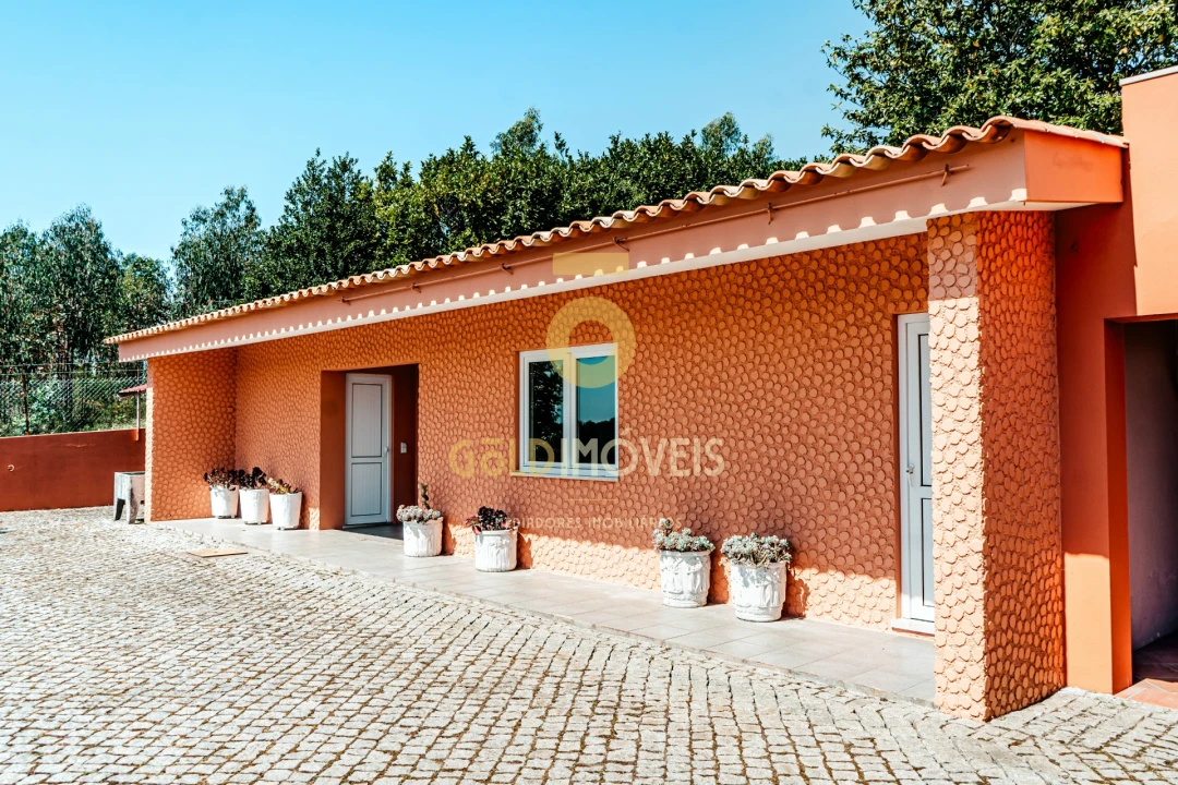 Quinta T5 para Venda em Nogueira do Cravo e Pindelo Foto 11