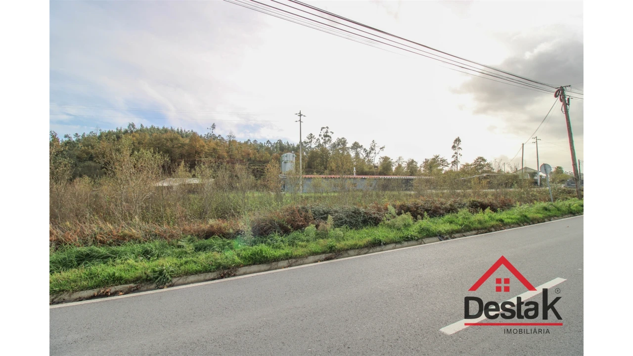 Terreno Agricola ou Rústico para Venda em Carvalhais e Candal Foto 10
