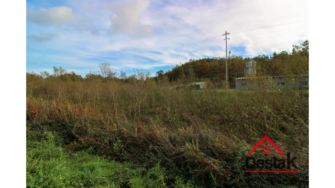 Terreno Agricola ou Rústico para Venda em Carvalhais e Candal Foto 8