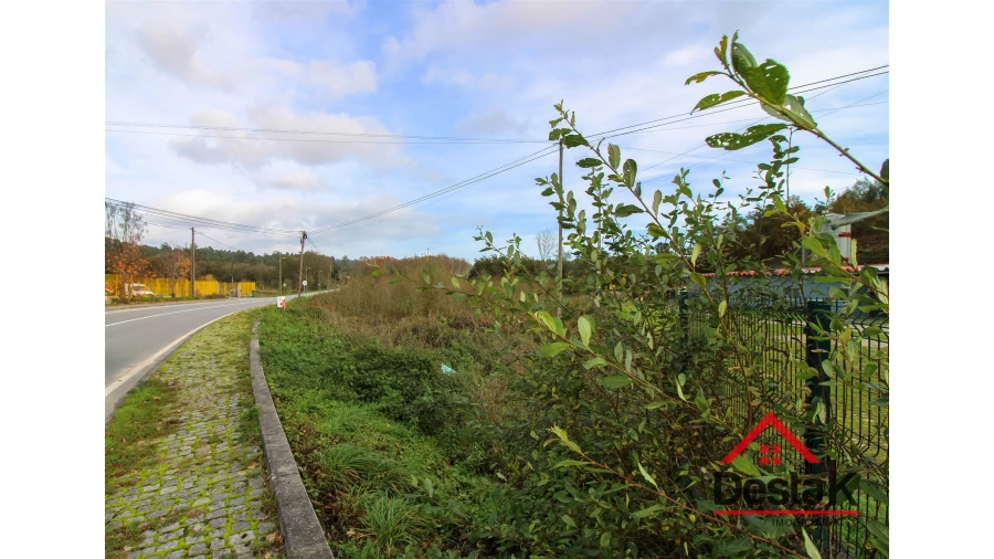 Terreno Agricola ou Rústico para Venda em Carvalhais e Candal Foto 6