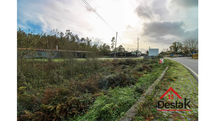 Terreno Agricola ou Rústico para Venda em Carvalhais e Candal Foto 2