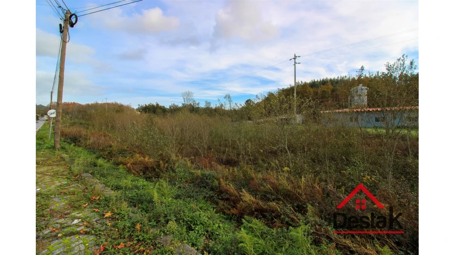 Terreno Agricola ou Rústico para Venda em Carvalhais e Candal Foto 7