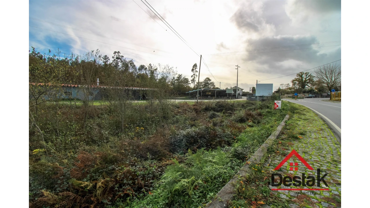Terreno Agricola ou Rústico para Venda em Carvalhais e Candal Foto 2