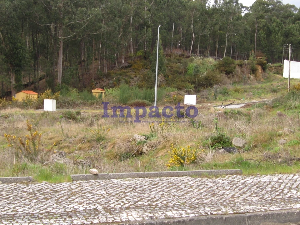Terreno para Venda em Fajões Foto 11