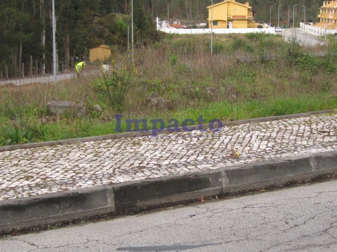 Terreno para Venda em Fajões Foto 7