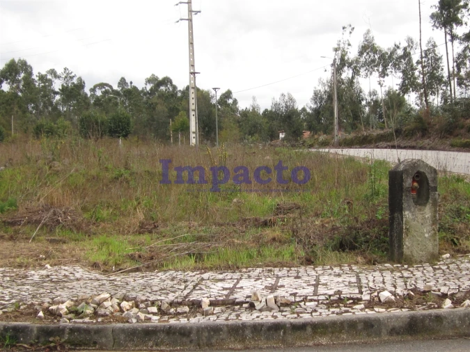 Terreno para Venda em Fajões Foto 6