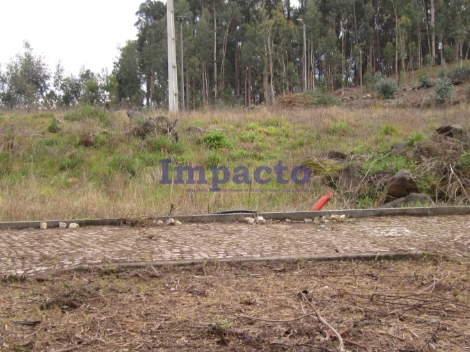 Terreno para Venda em Fajões Foto 4