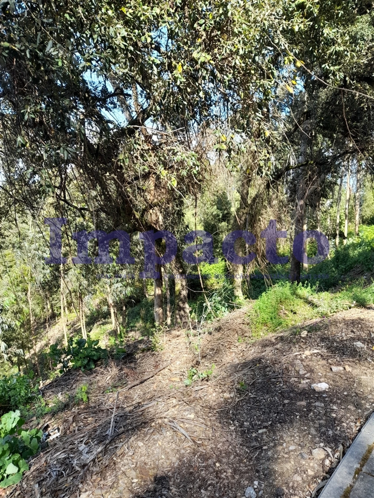 Terreno Agricola ou Rústico para Venda em Sandim, Olival, Lever e Crestuma Foto 9