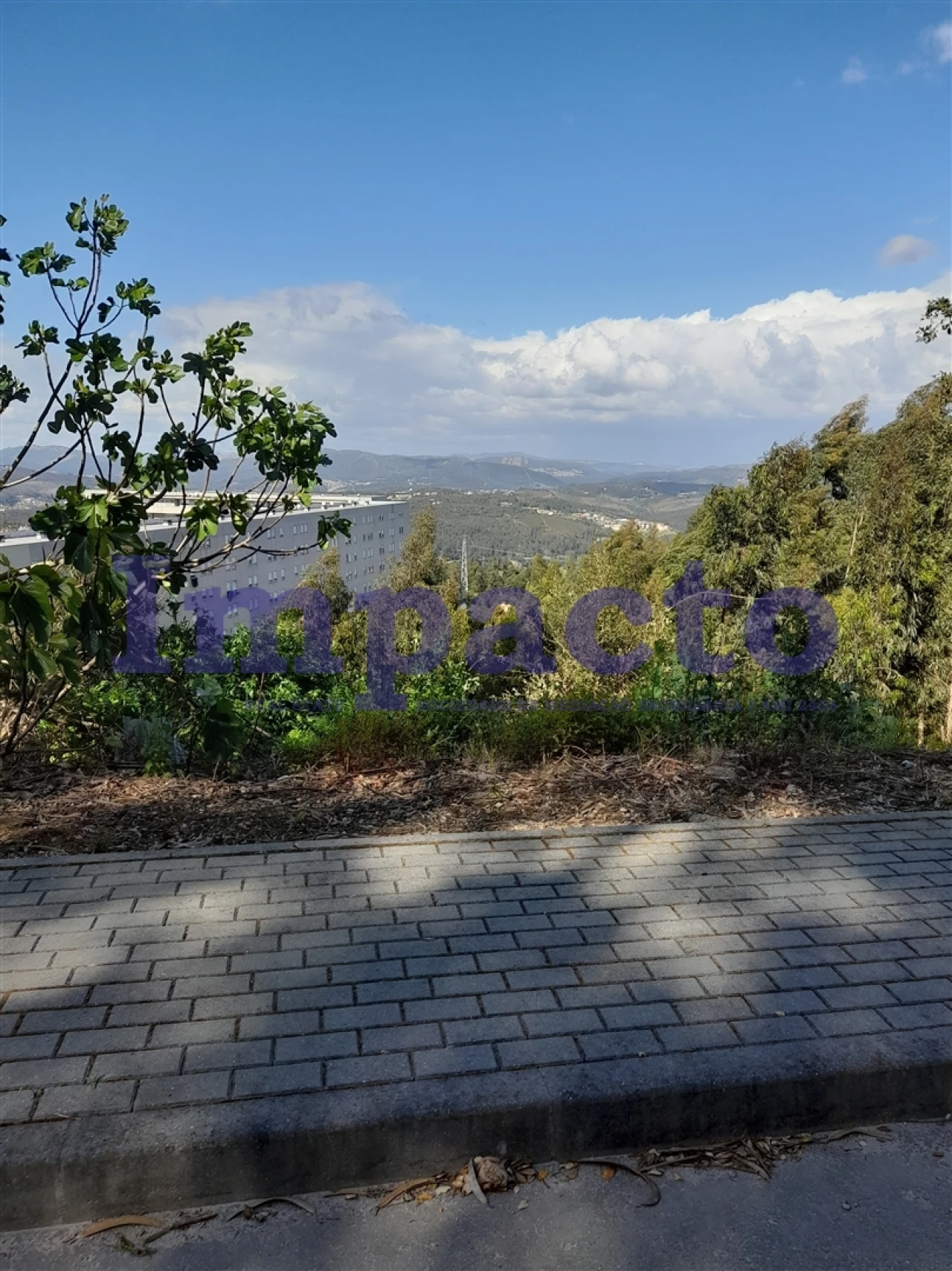 Terreno Agricola ou Rústico para Venda em Sandim, Olival, Lever e Crestuma Foto 6