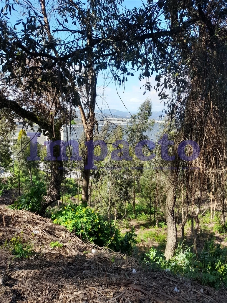 Terreno Agricola ou Rústico para Venda em Sandim, Olival, Lever e Crestuma Foto 11