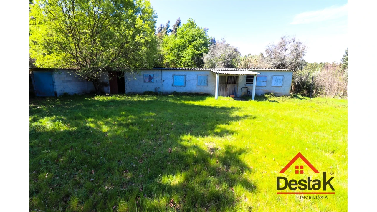 Terreno Agricola ou Rústico para Venda em Canas de Senhorim Foto 1