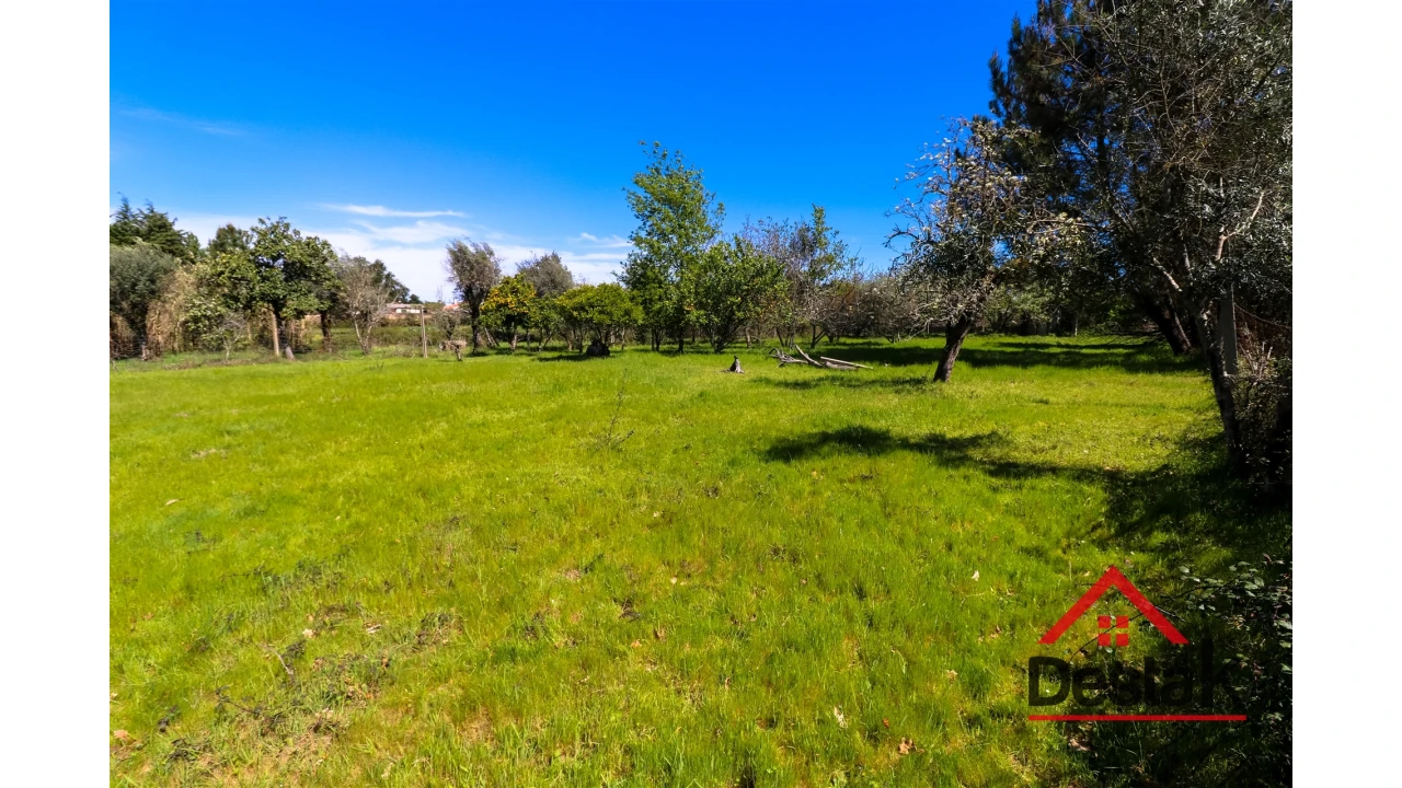 Terreno Agricola ou Rústico para Venda em Canas de Senhorim Foto 5