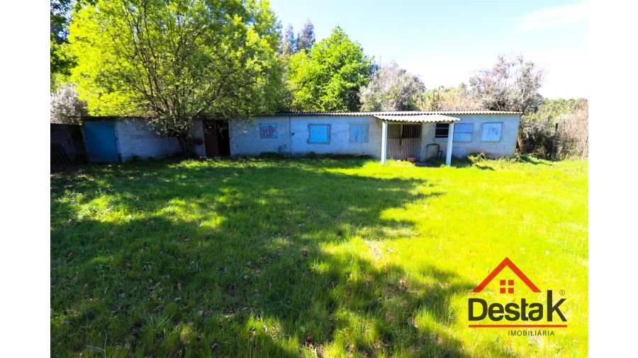 Terreno Agricola ou Rústico para Venda em Canas de Senhorim Foto 6