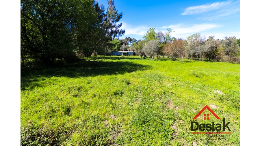 Terreno Agricola ou Rústico para Venda em Canas de Senhorim Foto 2