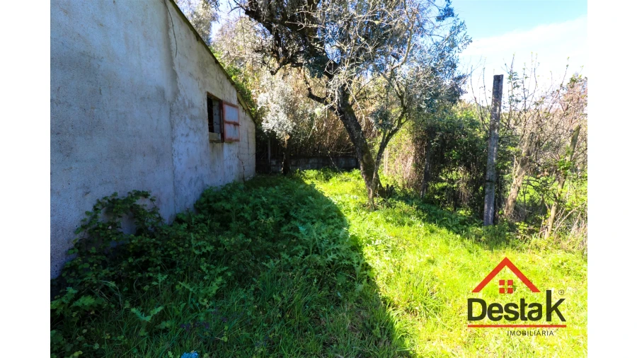 Terreno Agricola ou Rústico para Venda em Canas de Senhorim Foto 8
