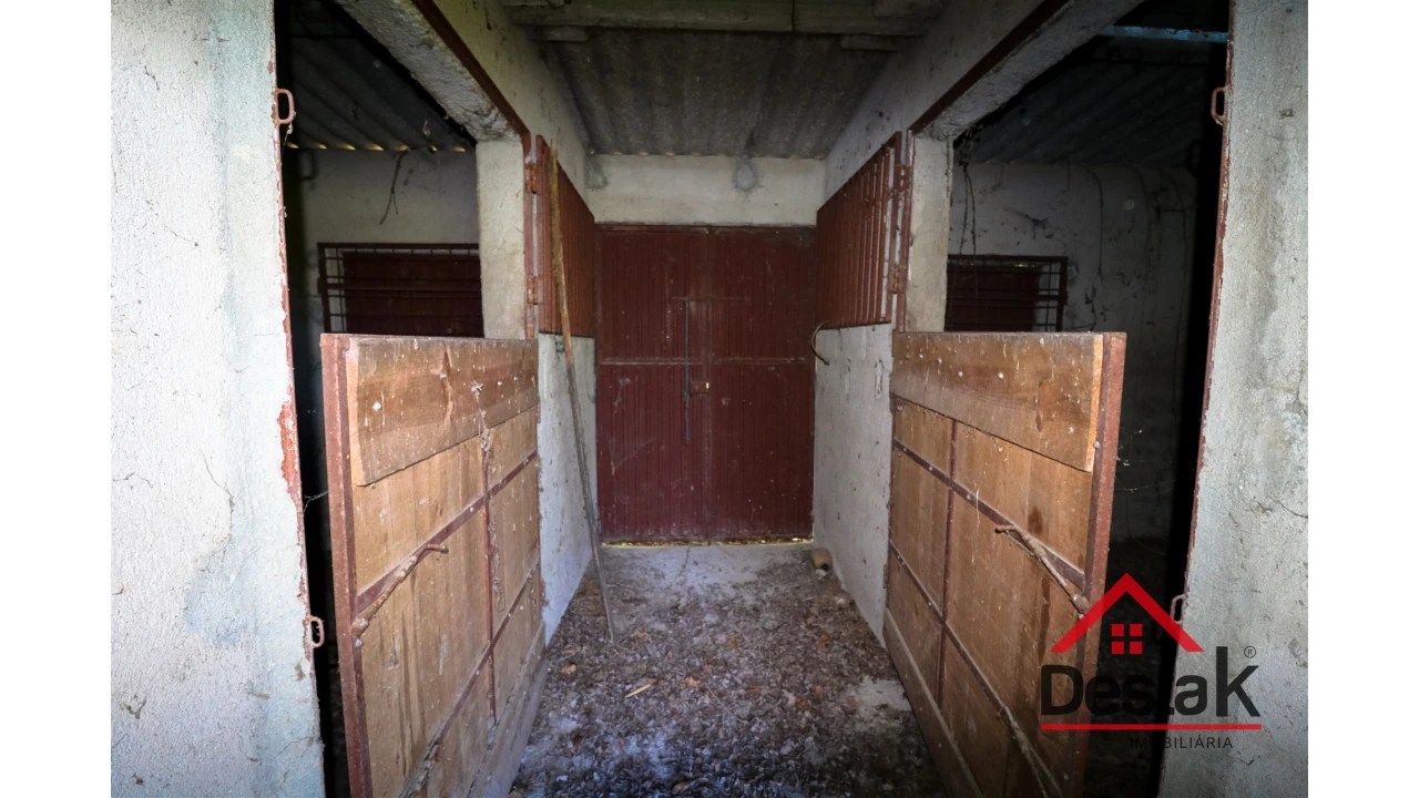 Terreno Agricola ou Rústico para Venda em Canas de Senhorim Foto 7