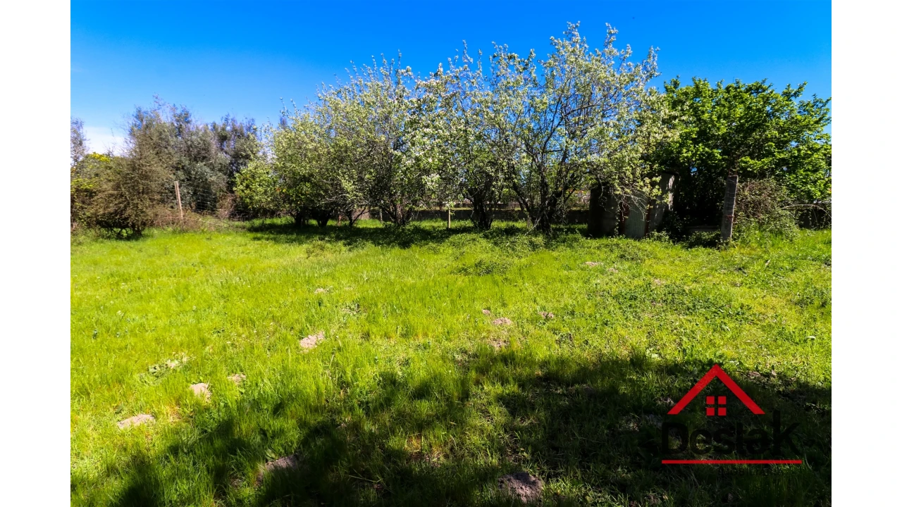 Terreno Agricola ou Rústico para Venda em Canas de Senhorim Foto 3
