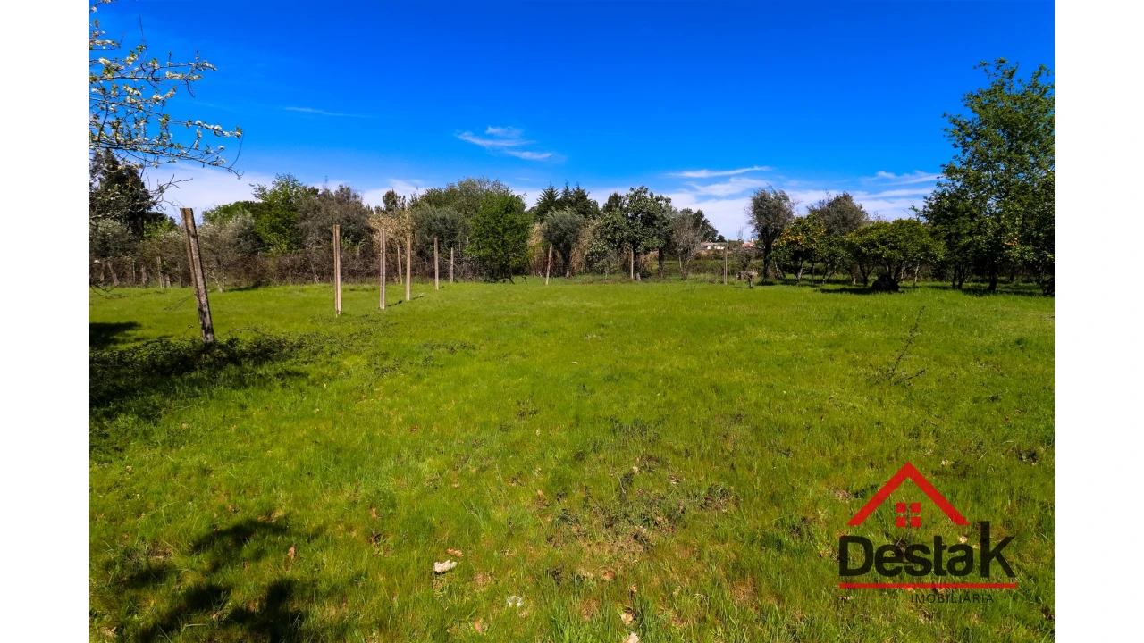 Terreno Agricola ou Rústico para Venda em Canas de Senhorim Foto 4