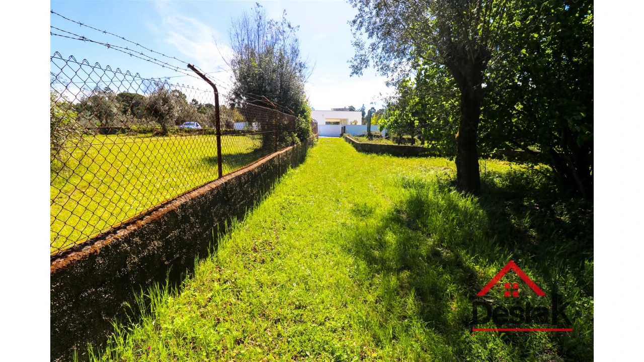 Terreno Agricola ou Rústico para Venda em Canas de Senhorim Foto 9