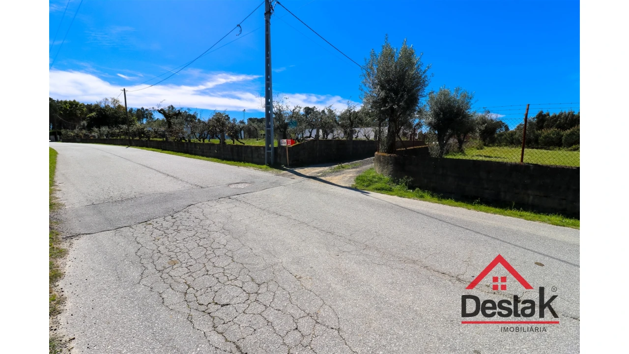 Terreno Agricola ou Rústico para Venda em Canas de Senhorim Foto 11