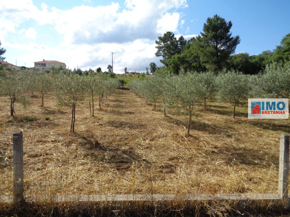 Terreno para Venda em Dominguizo Foto 6