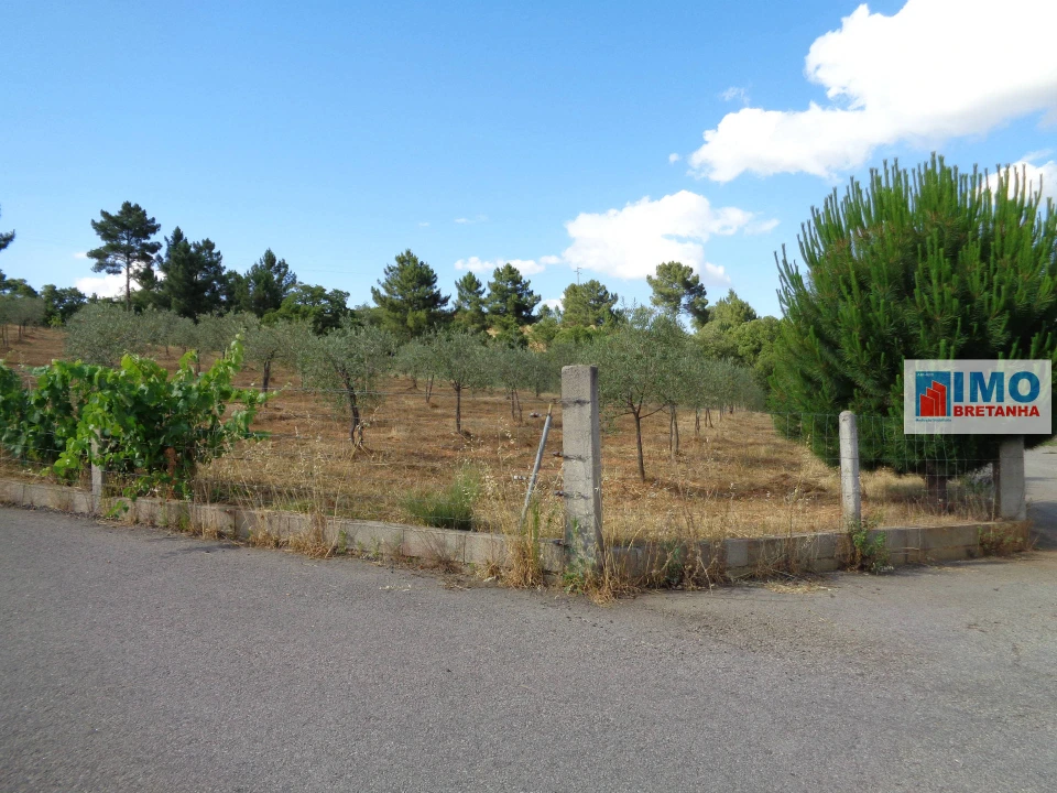 Terreno para Venda em Dominguizo Foto 9