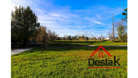 Terreno para Venda em Rio de Loba