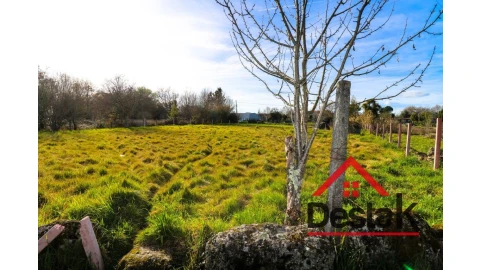 Terreno para Venda em Rio de Loba