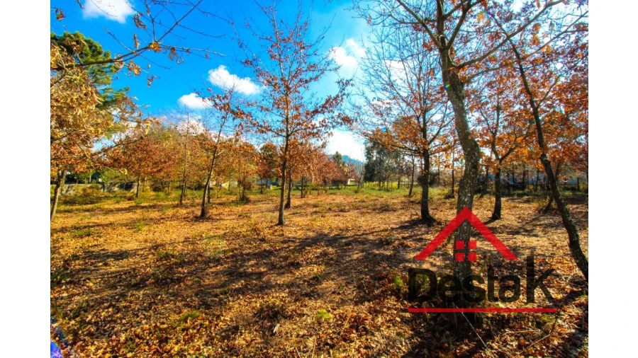 Terreno para Venda em Abraveses Foto 9