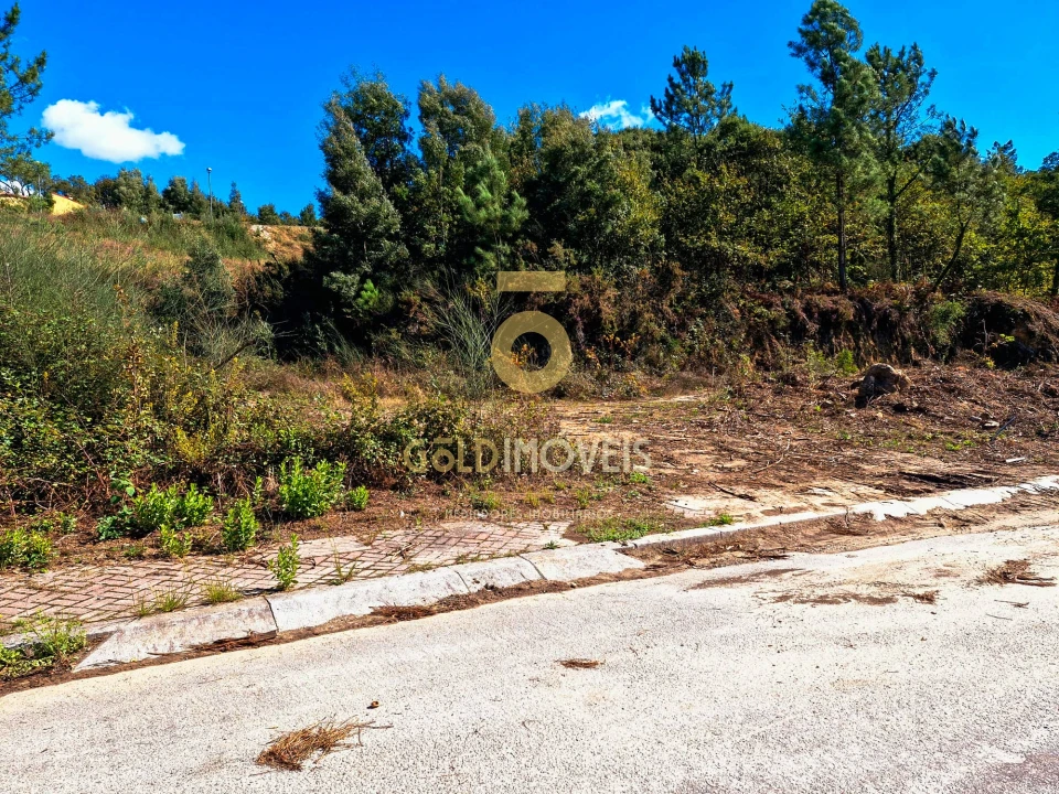 Terreno para Venda em Pinheiro da Bemposta, Travanca e Palmaz Foto 6