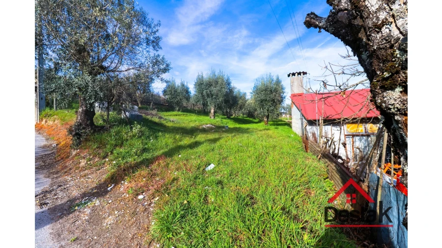 Terreno para Venda em Santos Evos Foto 5