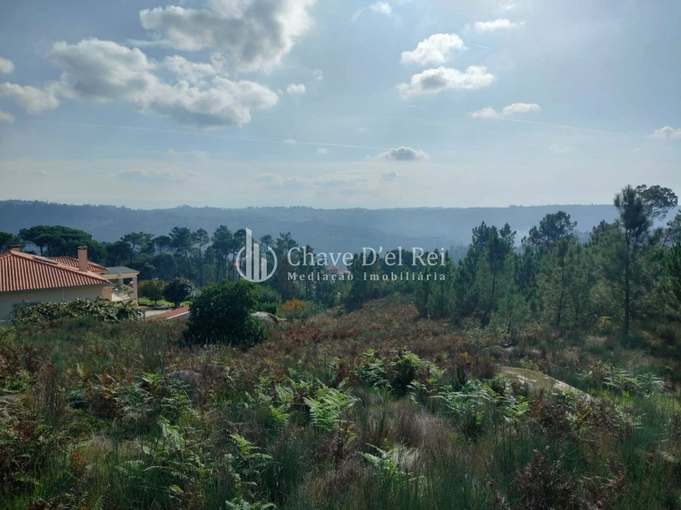 Terreno para Venda em São João de Lourosa Foto 8