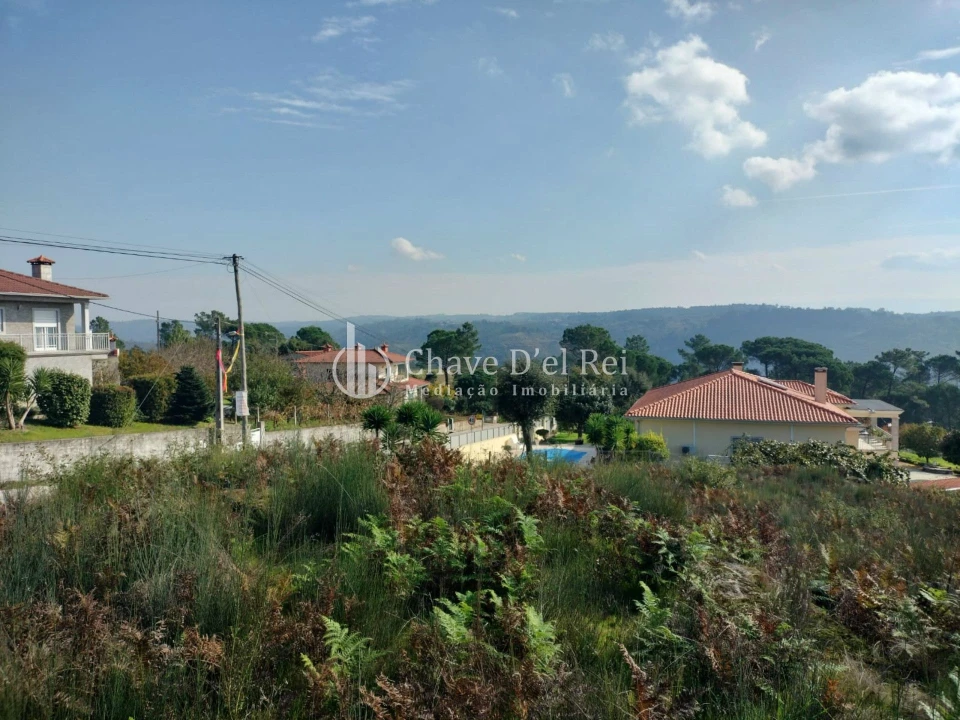 Terreno para Venda em São João de Lourosa Foto 3
