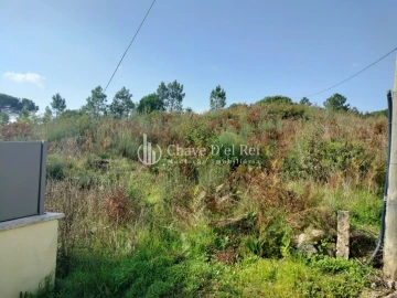 Terreno para Venda em São João de Lourosa