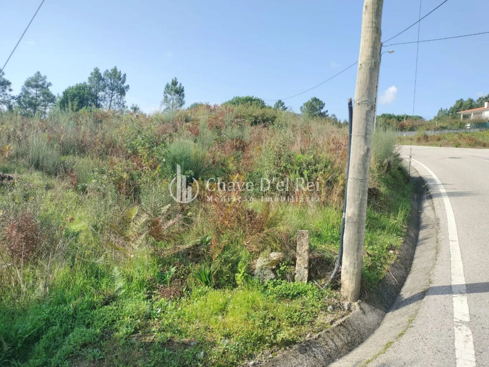 Terreno para Venda em São João de Lourosa Foto 12