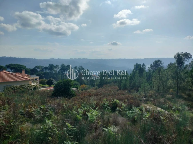 Terreno para Venda em São João de Lourosa Foto 8