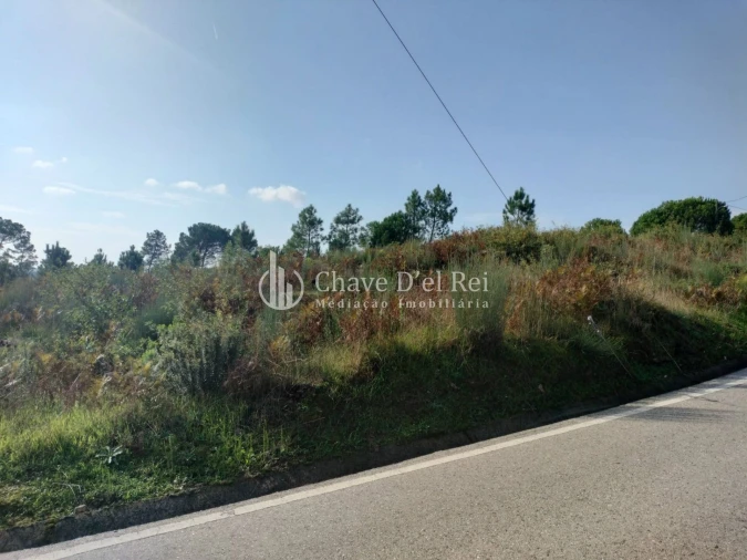 Terreno para Venda em São João de Lourosa Foto 10