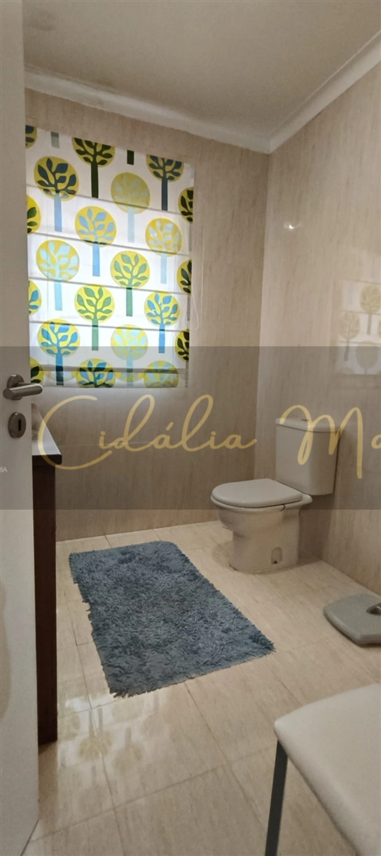 Moradia T4 para Venda em Fragosela Foto 18